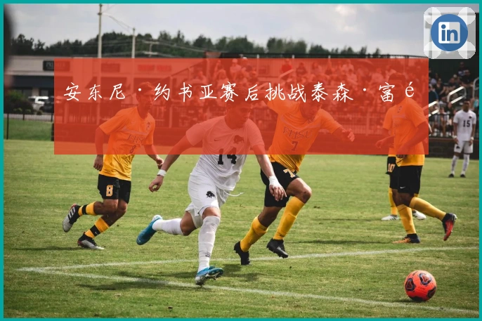 安东尼·约书亚赛后挑战泰森·富里