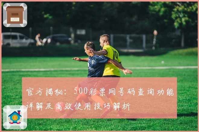 官方揭秘：500彩票网号码查询功能详解及高效使用技巧解析