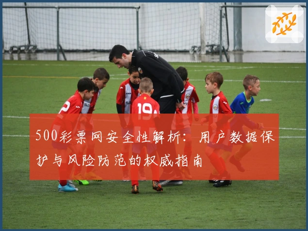 500彩票网安全性解析：用户数据保护与风险防范的权威指南