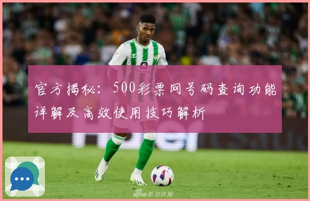 官方揭秘：500彩票网号码查询功能详解及高效使用技巧解析