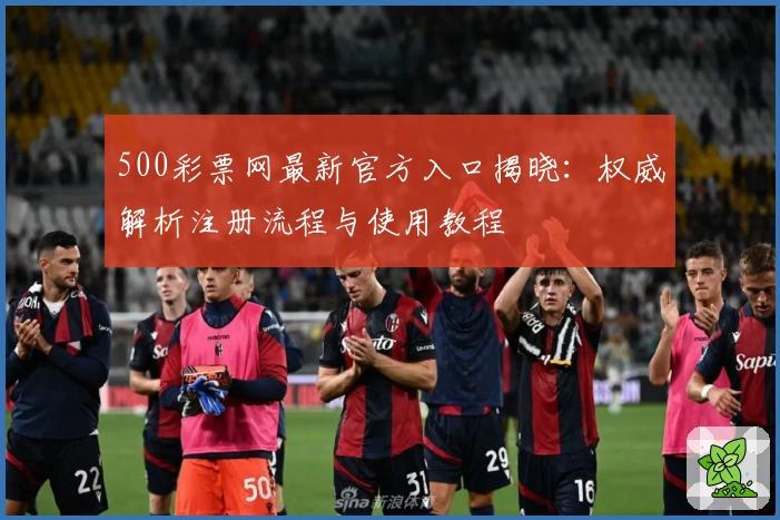 500彩票网最新官方入口揭晓：权威解析注册流程与使用教程