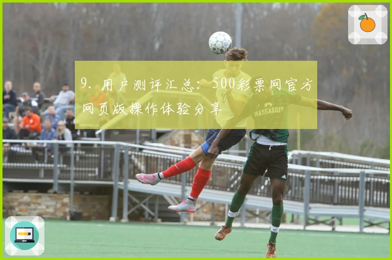 9. 用户测评汇总：500彩票网官方网页版操作体验分享